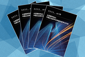 《从蓝图到伟业：中国企业数字化转型的思考与行动》